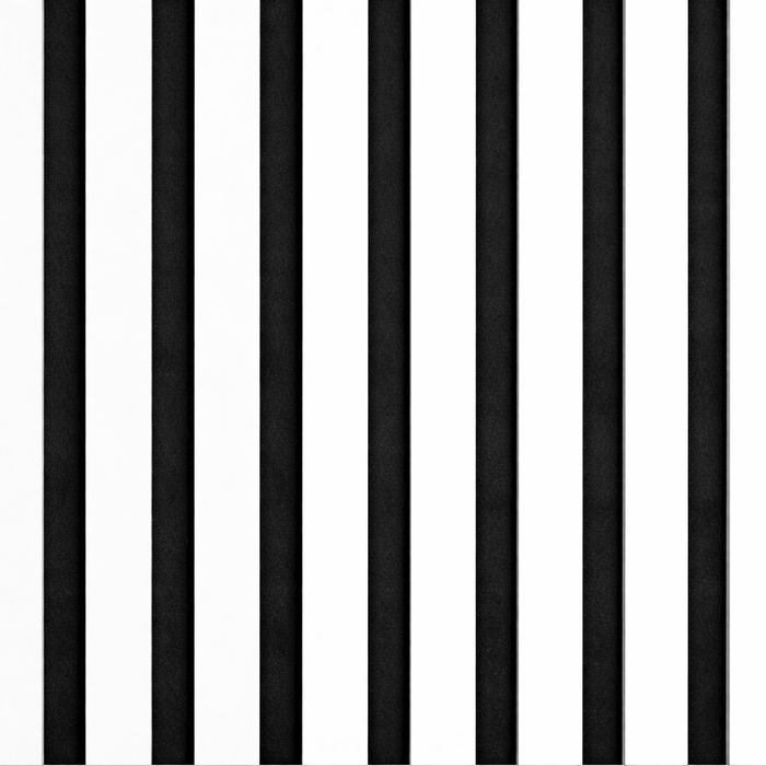 Acoustic White on Black Felt Premium wooden wall Panel 2400mm x 600mm