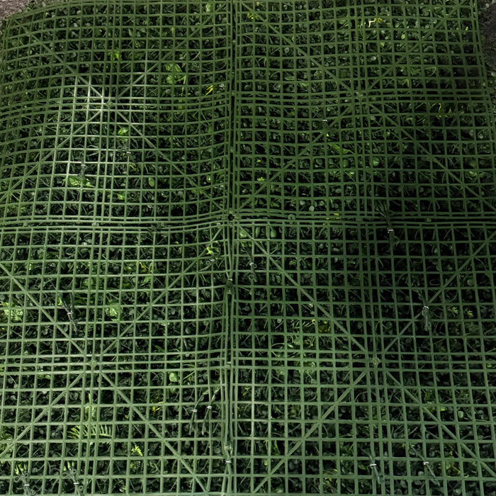 Green Walls Rainforest 1m x 1m